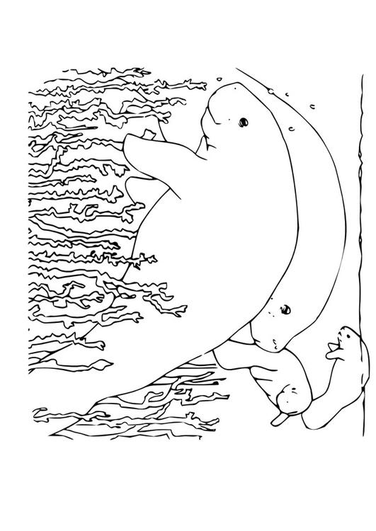 Coloring page manatee