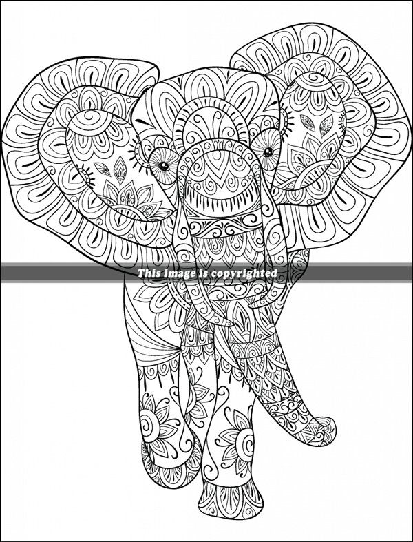 Animals with mandalas