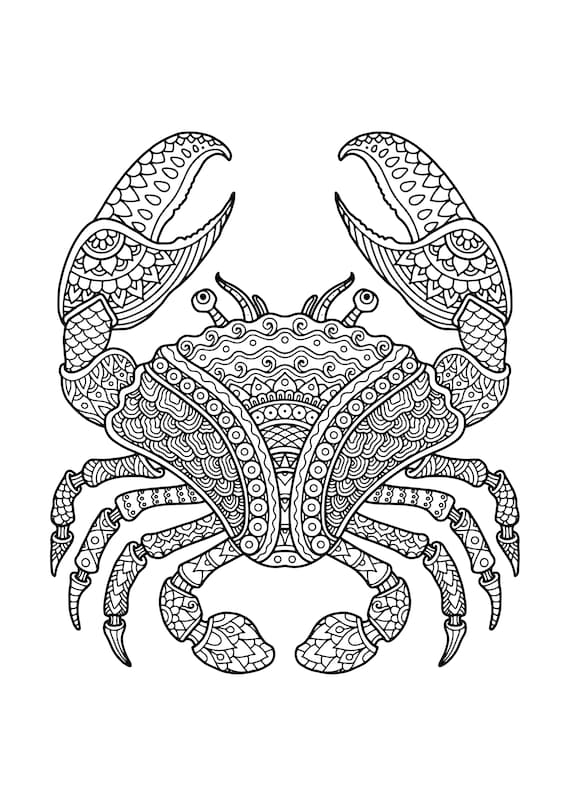 Printable animal mandala coloring pages ocean animal mandala adult coloring book