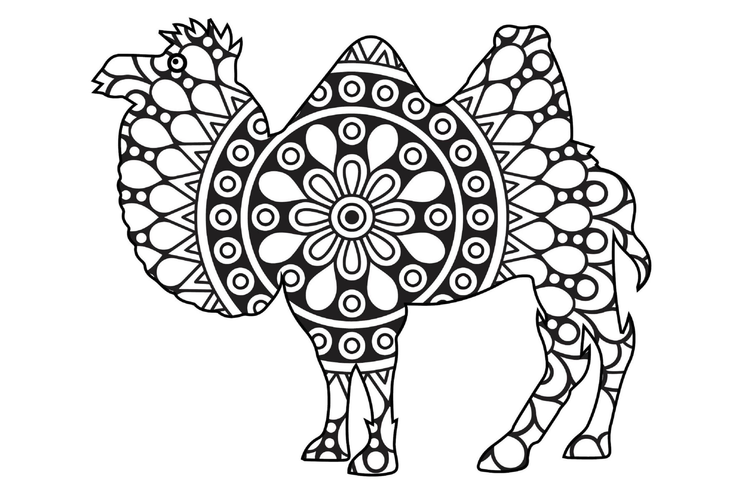 Basic camel mandala coloring page