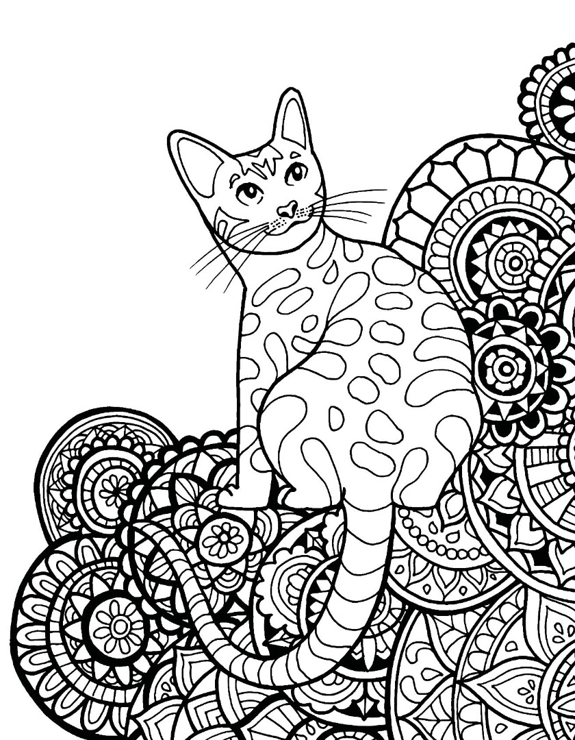 Cat mandala freebie