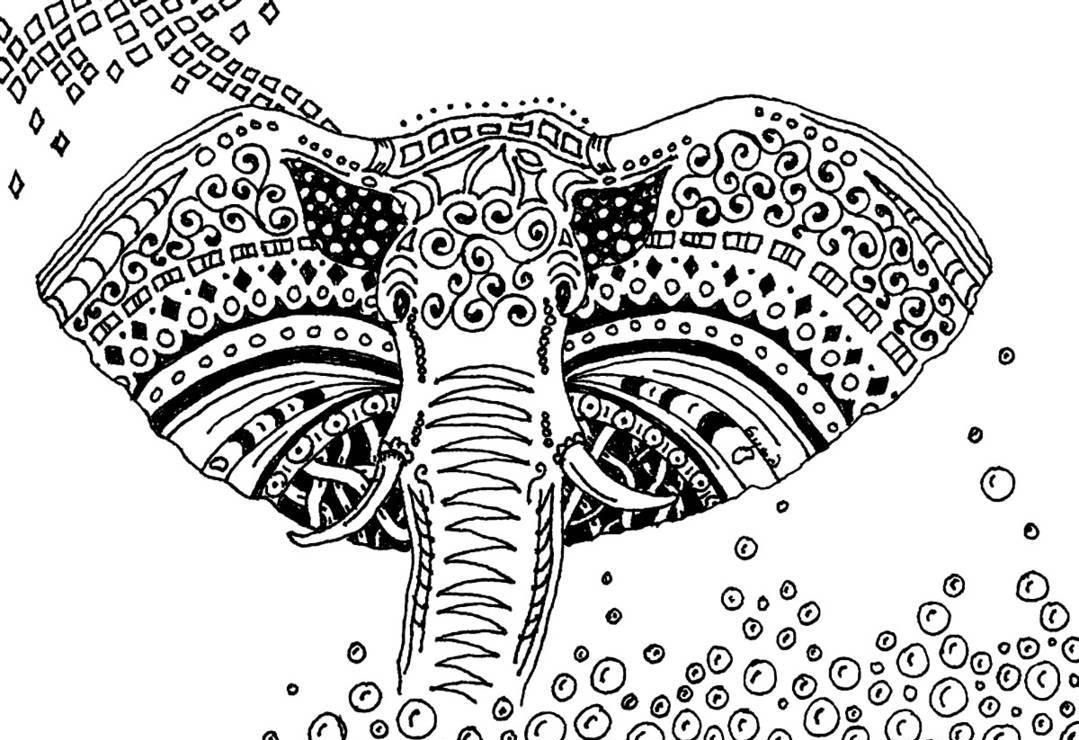 Elephant coloring pages for adults