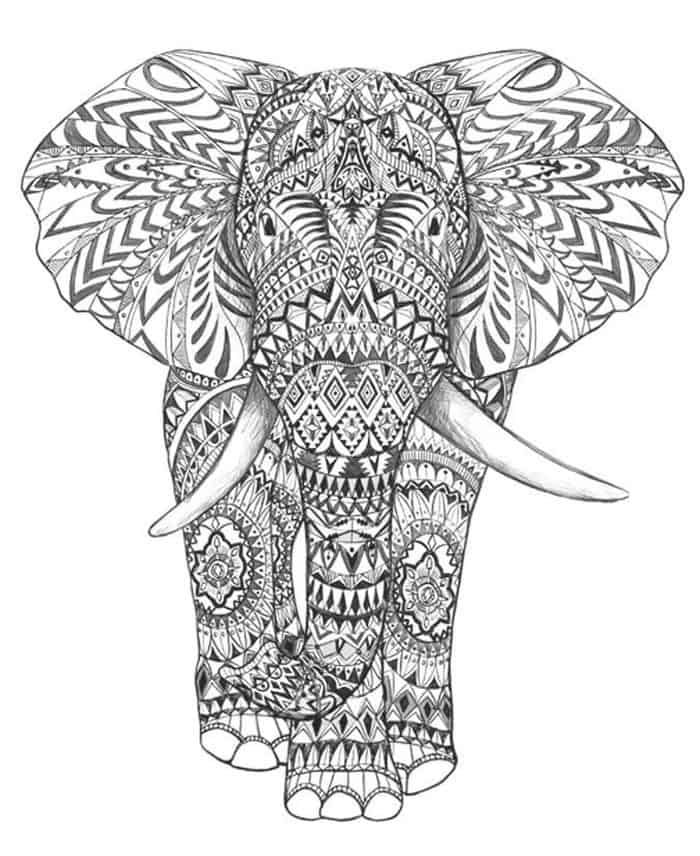 Mandala coloring pages elephant elefant malen mandala ausmalen elefant zeichnung