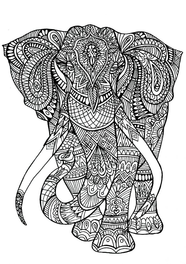 Elephant coloring pages for adults