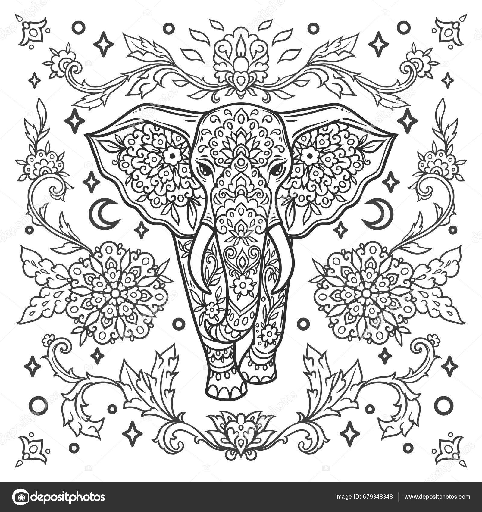 Elephant mandala animal vector illustration adult kids coloring book page stock vector by anvino