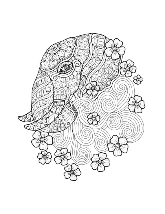 Elephant mandala coloring page color mammal animals draw drawing paper digital file download adult kids education art project school work