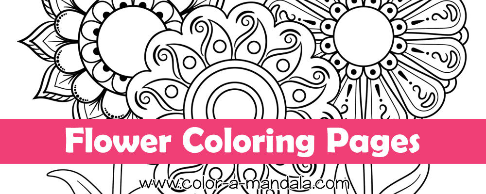 Flower coloring pages