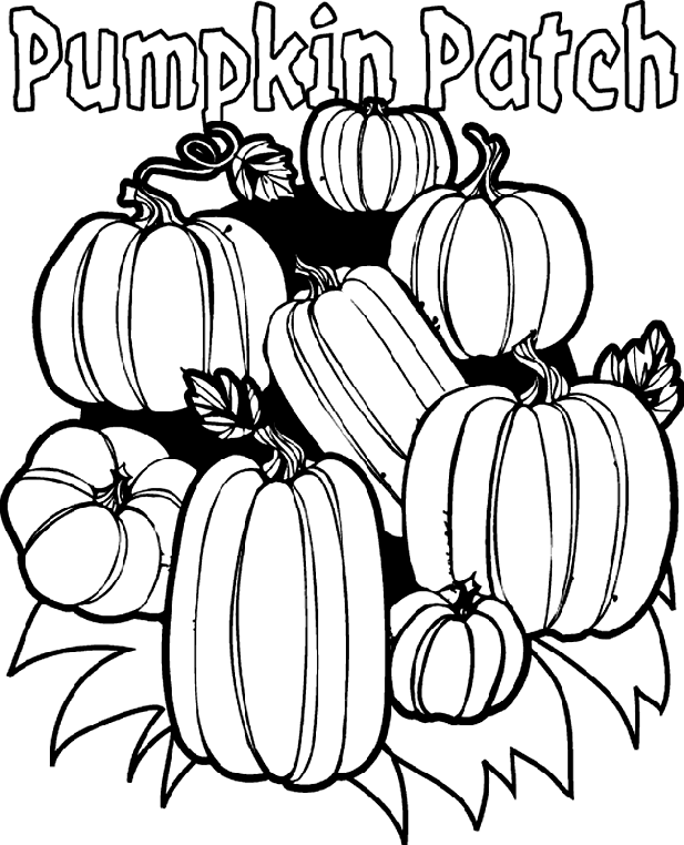 Pumpkin patch coloring page