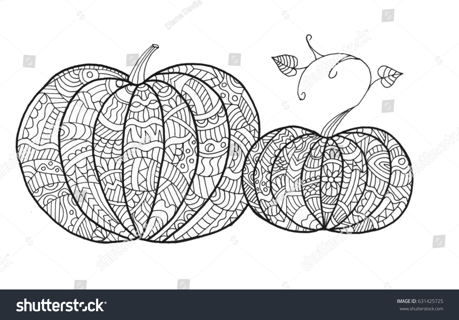 Hand drawn mandala pumpkin coloring stock illustration