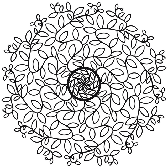 Radial symmetry coloring pages i made enjoy rprocreate