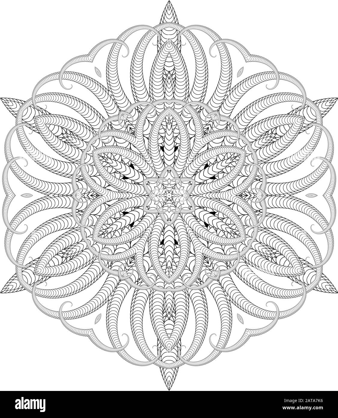 Vector delicate mandala art