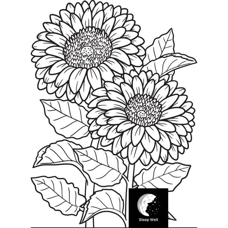 Sunflower mandala coloring page