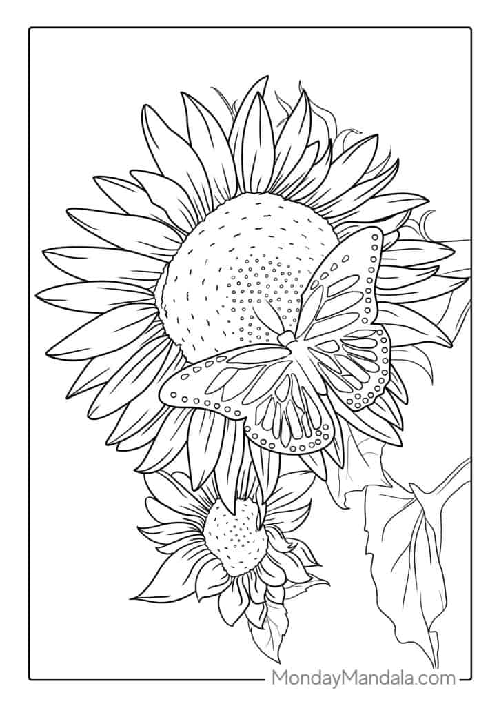 Sunflower coloring pages free pdf printables