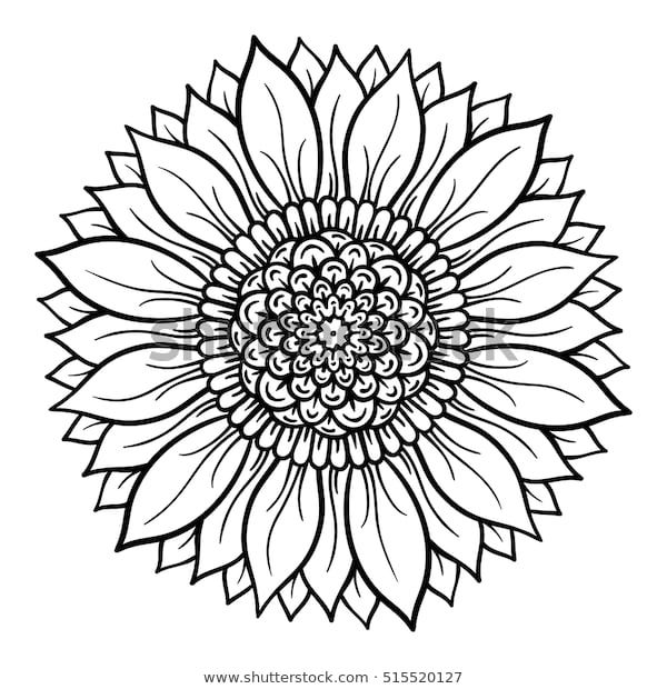 Vector illustration flower mandala coloring page stock vector royalty free shutterstock mandalas para colorir flores para colorir desenho do girassol