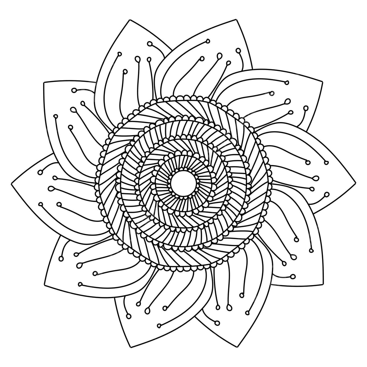 Stylized sunflower coloring page with a contour mandala featuring symmetrical stripes and floral details vector wrapping sunflower pattern png and vector with transparent background for free download