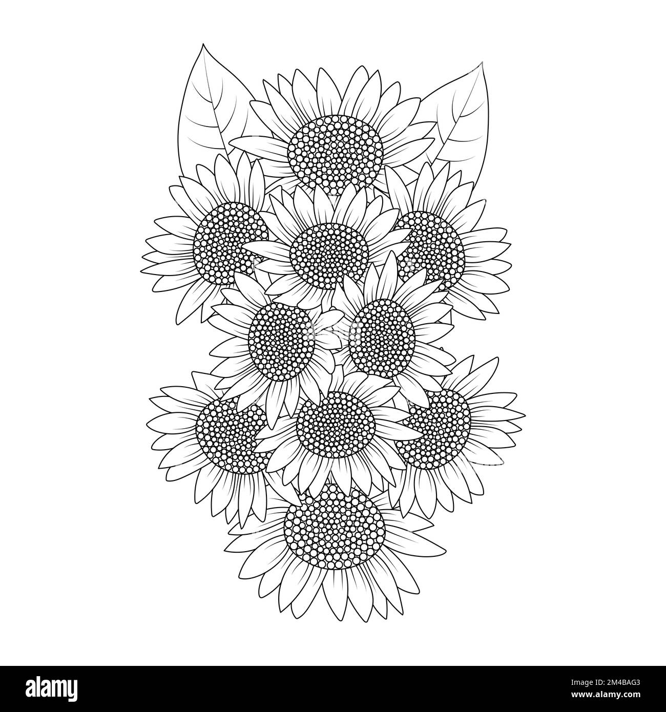 Sunflower vector outline coloring page of blooming petal and leaves flower illustration stock vector image art