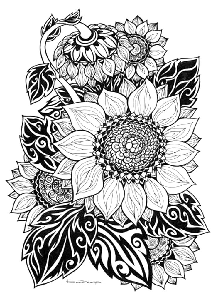 Sunflower coloring â gender desk