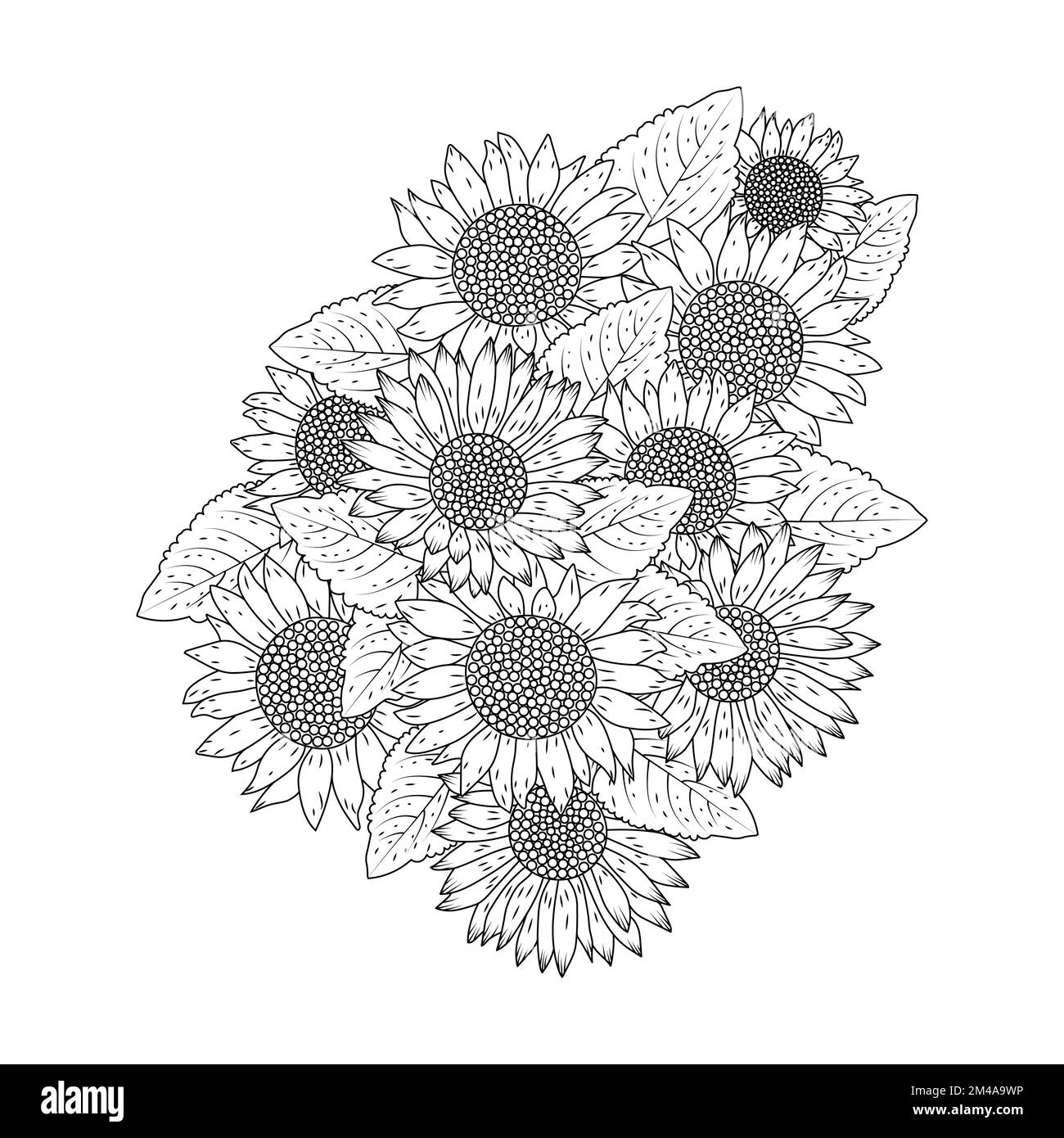 Sunflower vector design with blooming petal adult coloring book page flowers stock vector image art