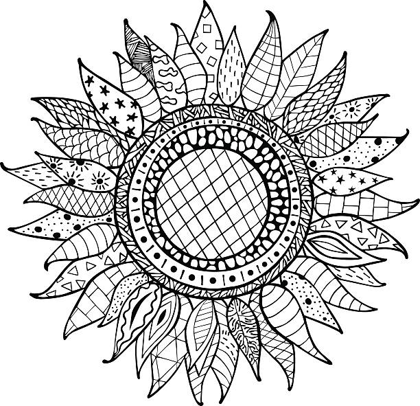 Hand drawn sunflowers ornament for coloring book stock illustration