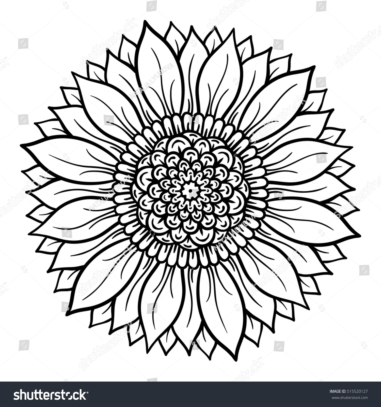 Vector illustration flower mandala coloring page stock vector royalty free