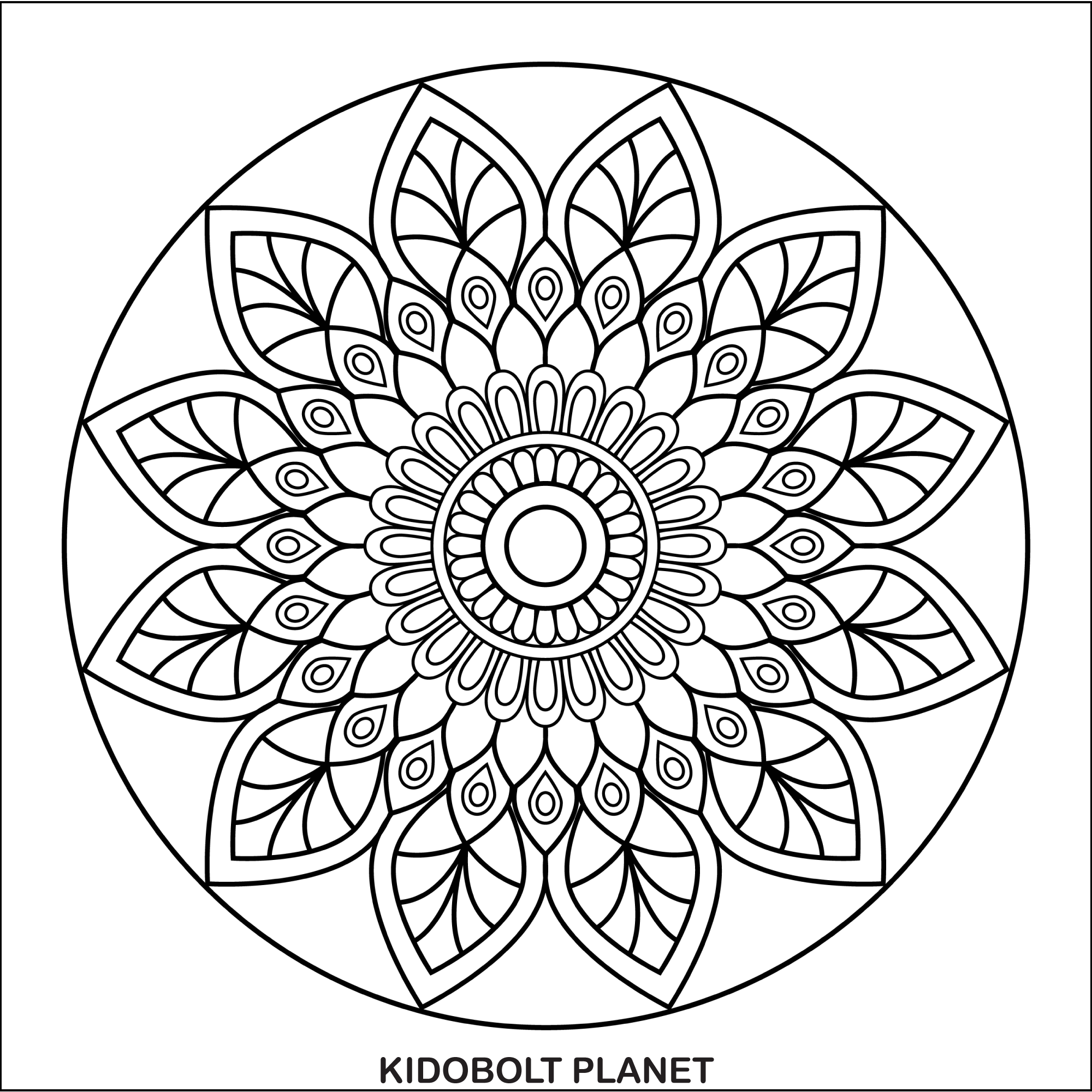Mandala relaxing floral art activity printable made by teachers