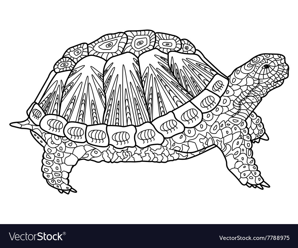 Turtle coloring book for adults royalty free vector image