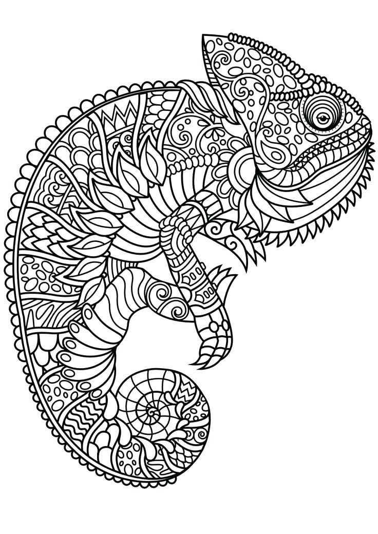 Animal mandala coloring pages