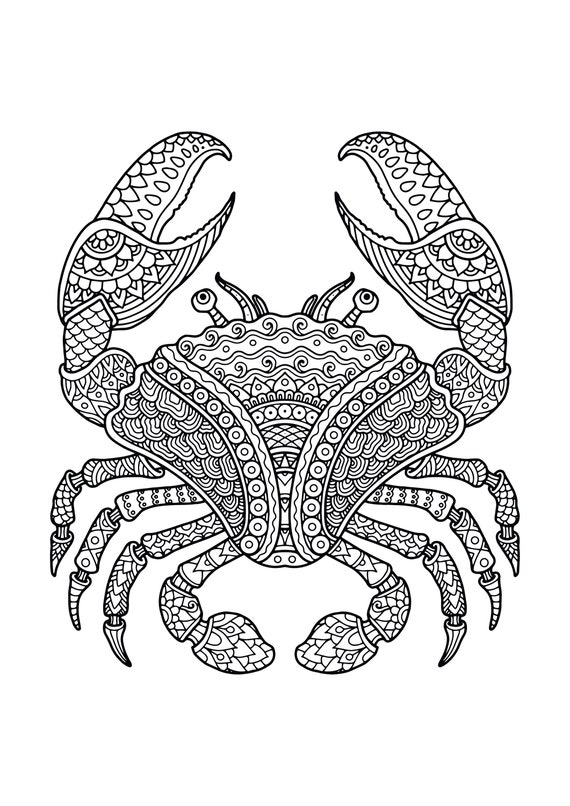 Printable animal mandala coloring pages ocean animal mandala adult coloring book