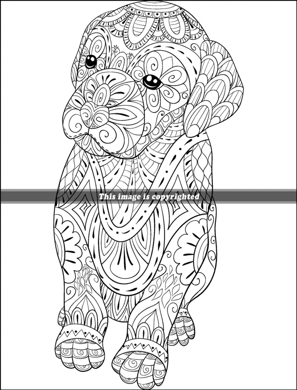 Animals with mandalas