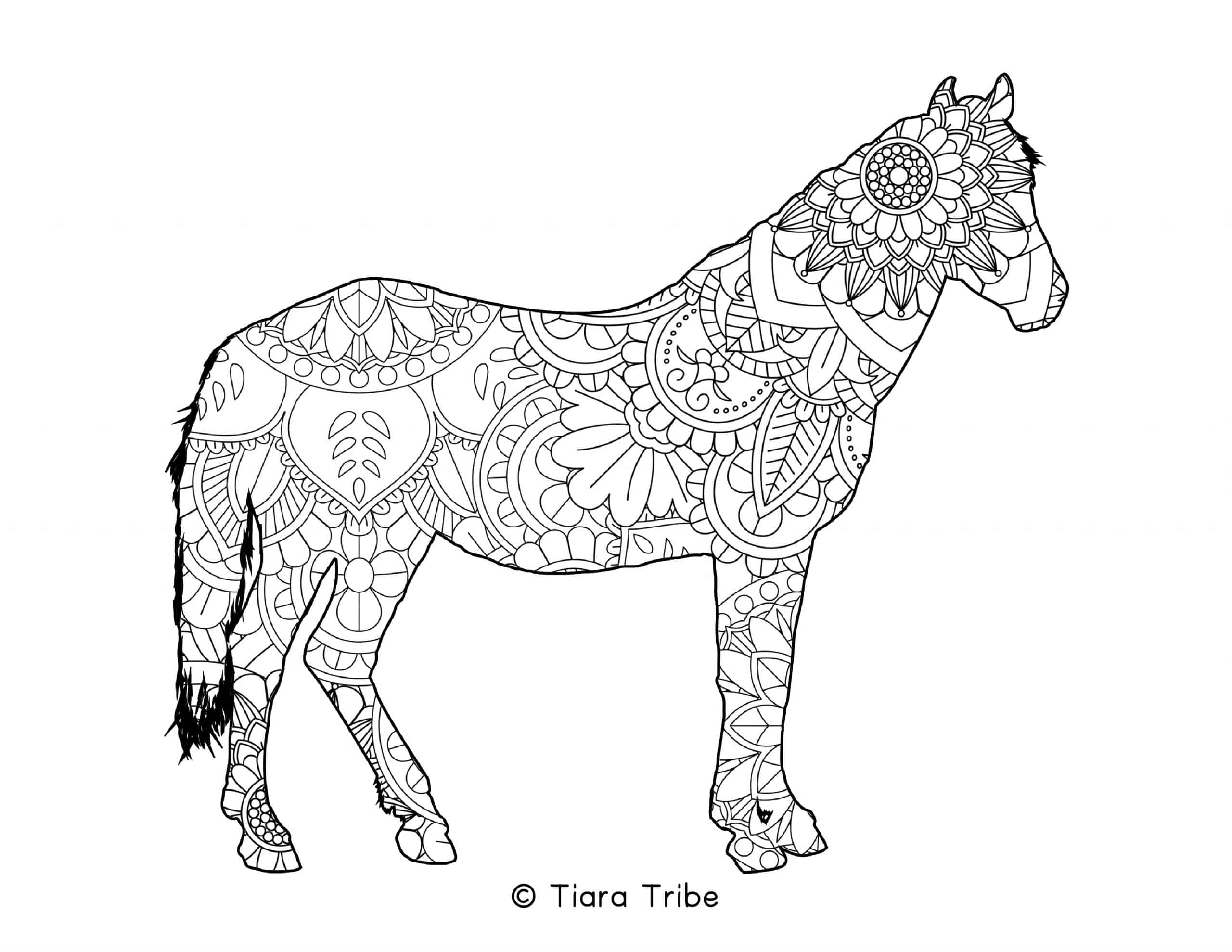 Best free animal mandala coloring pages pdfs to download