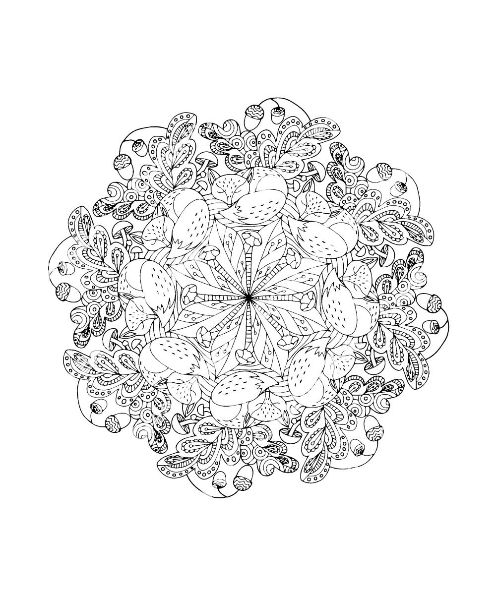 Nature mandalas coloring book