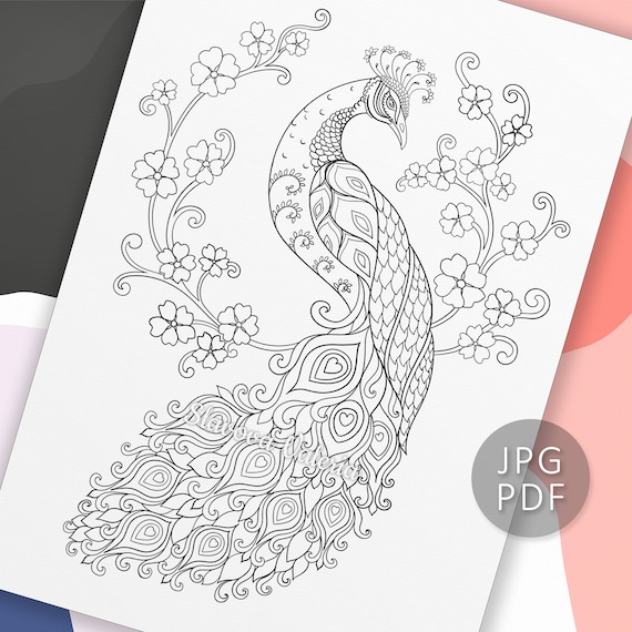 Peacock coloring page instant download pdf download printable coloring page