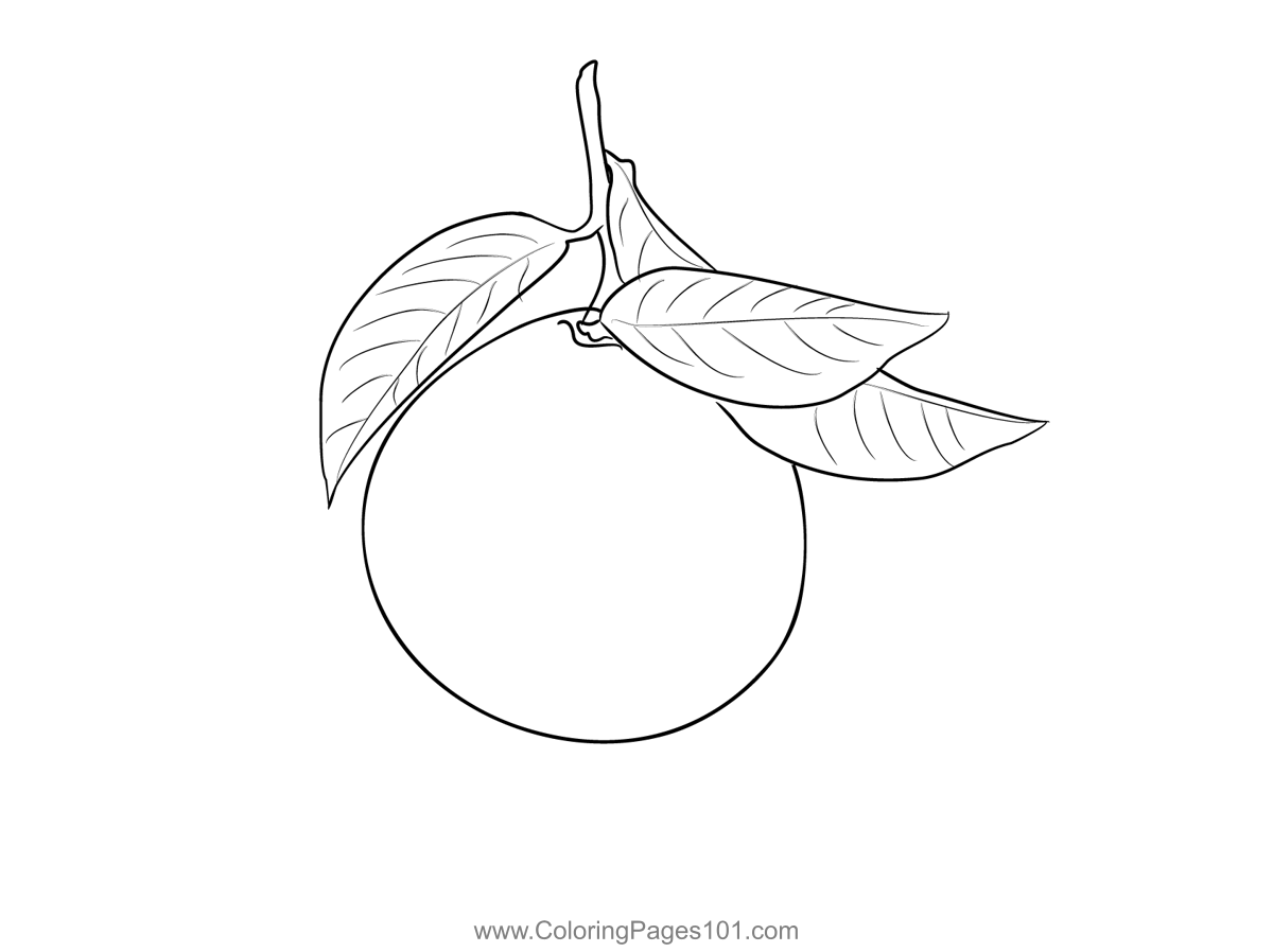 Mandarin orange coloring page for kids