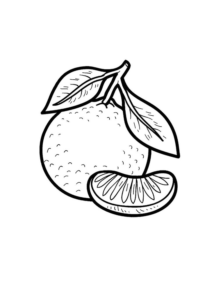 Tangerine coloring pages coloring pages fruit coloring pages book illustration t