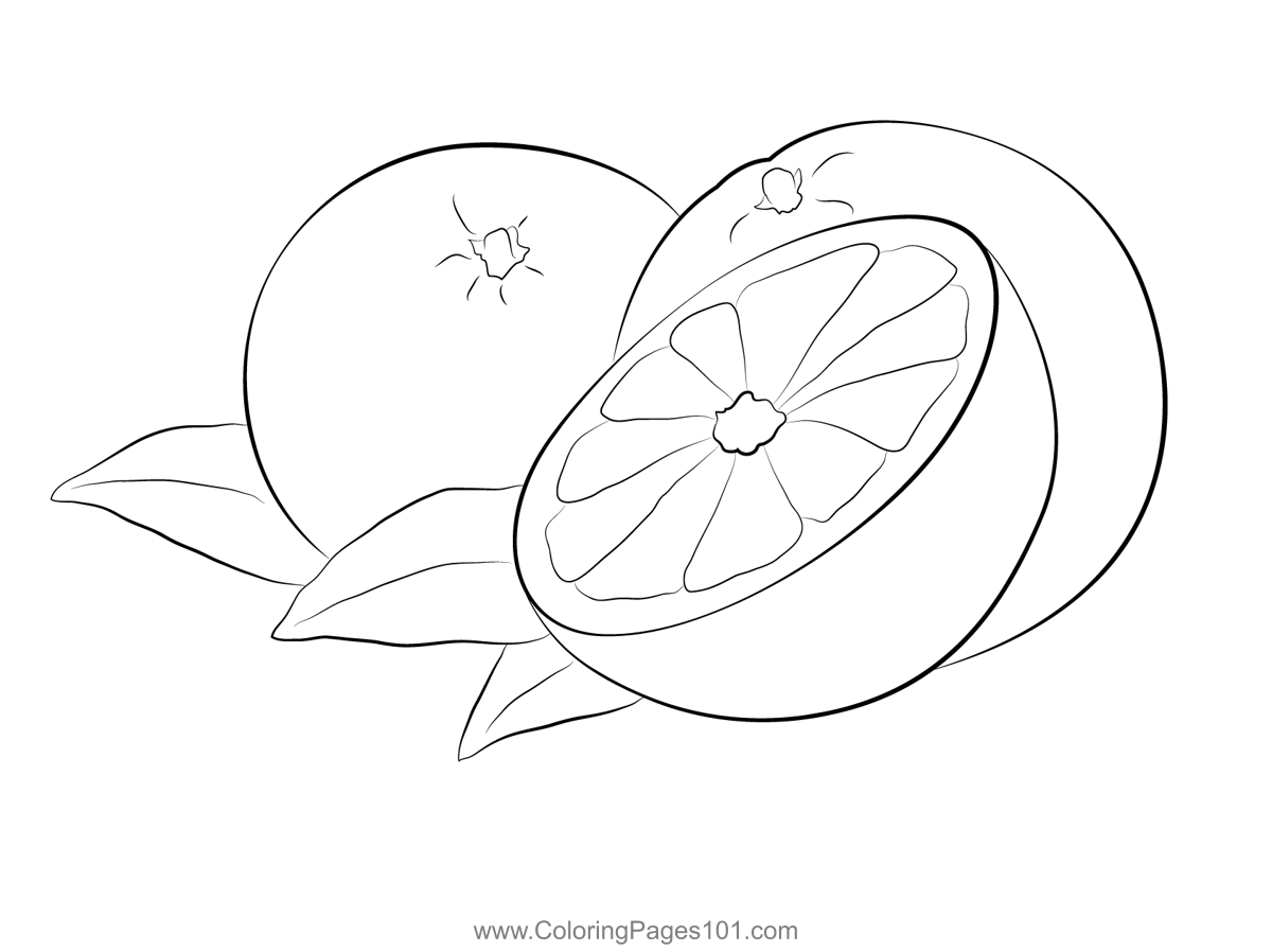 Oranges fruit coloring page in fruit coloring pages orange fruit coloring pages