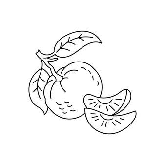 Page mangosteen coloring images