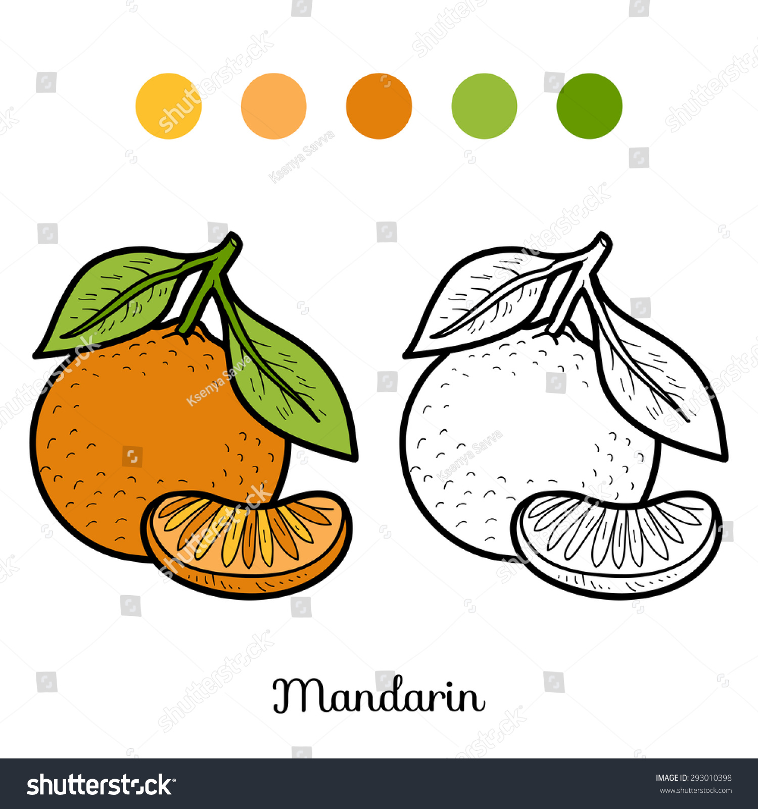 Coloring book fruits vegetables mandarin stock vector royalty free