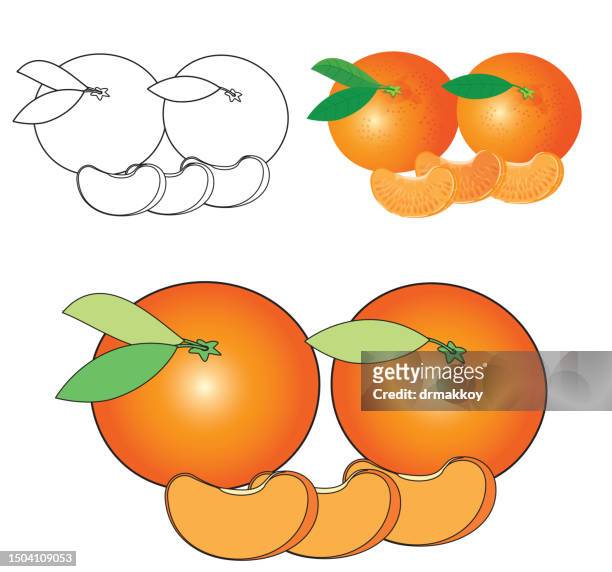 Mandarin tangerine coloring book high