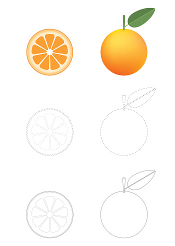 Oranges coloring pages stock illustration