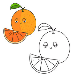 Orange fruit coloring book vector images over