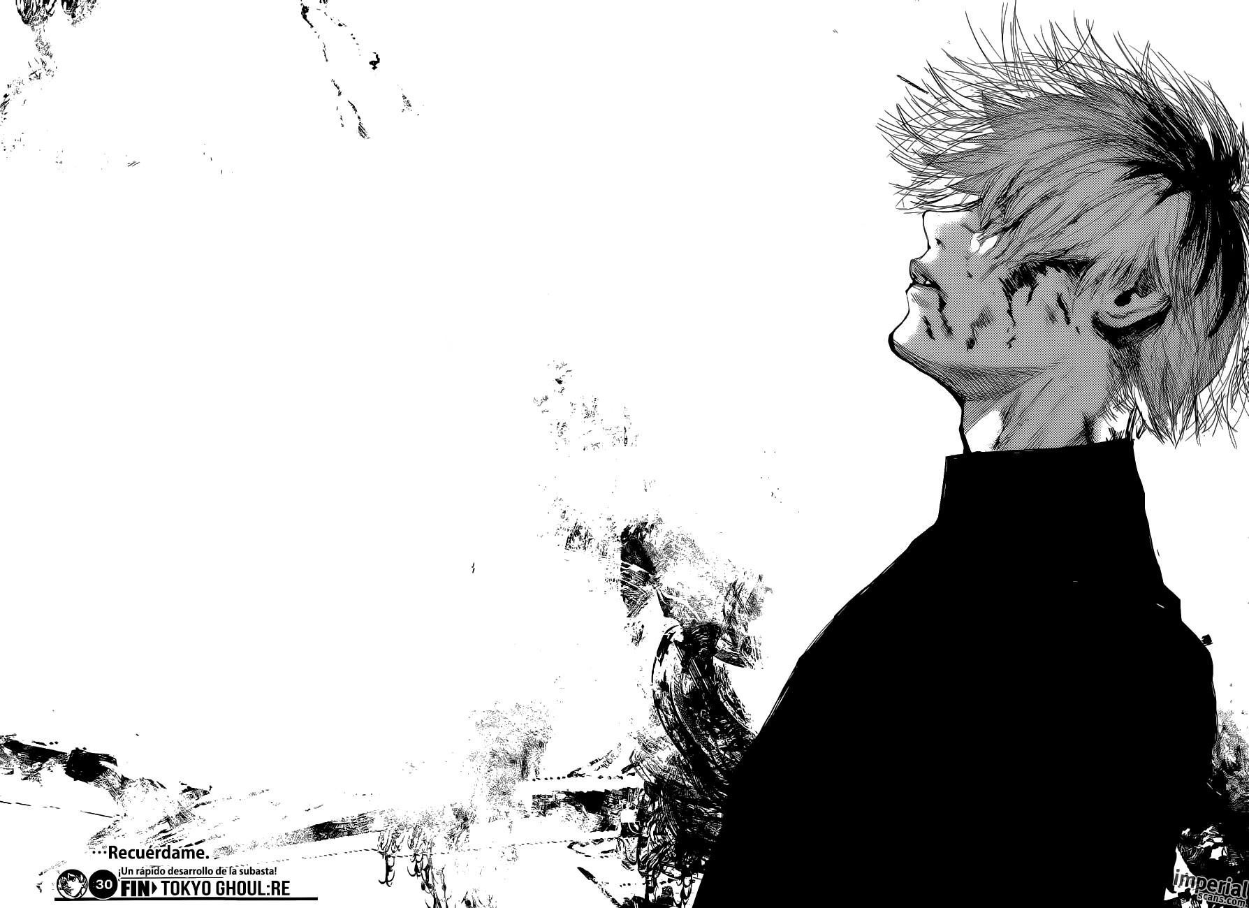 X my tokyo ghoul re panels wallpapers