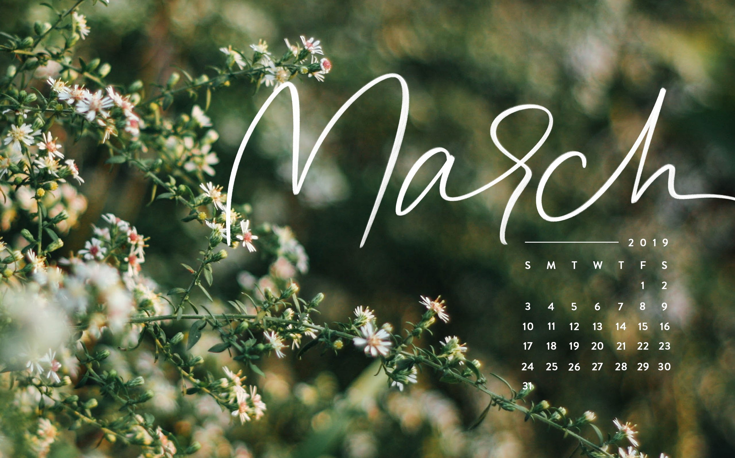 Free downloadable tech backgrounds for march tech background laptop wallpaper desktop wallpapers calendar wallpaper