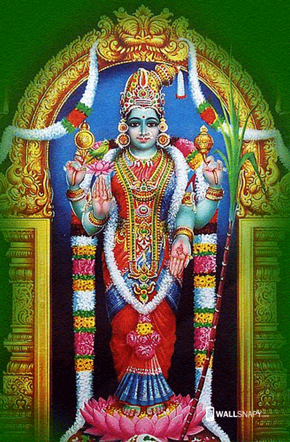 Background Image of Sri Meenakshi Sundareshwara Temple, Madurai