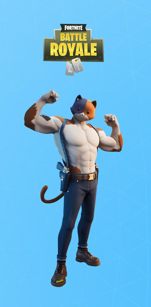 Download Free 100 Meowscles Fortnite Wallpapers
