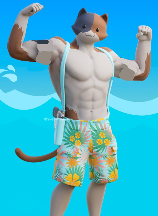 Summer meowscles concept rfortnitebr