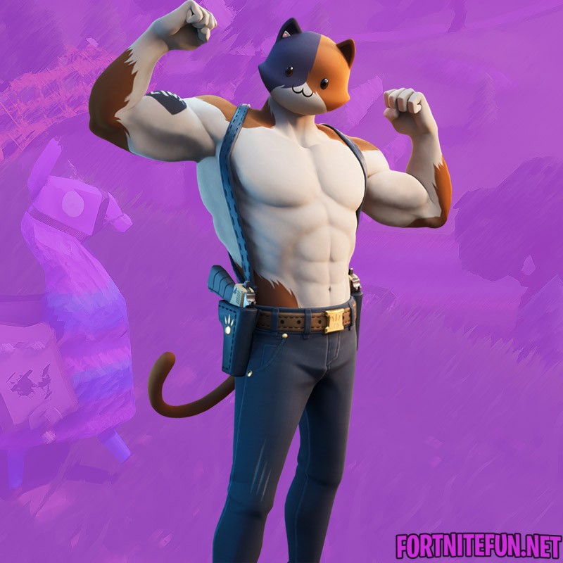 Fortnite meowscles outfit