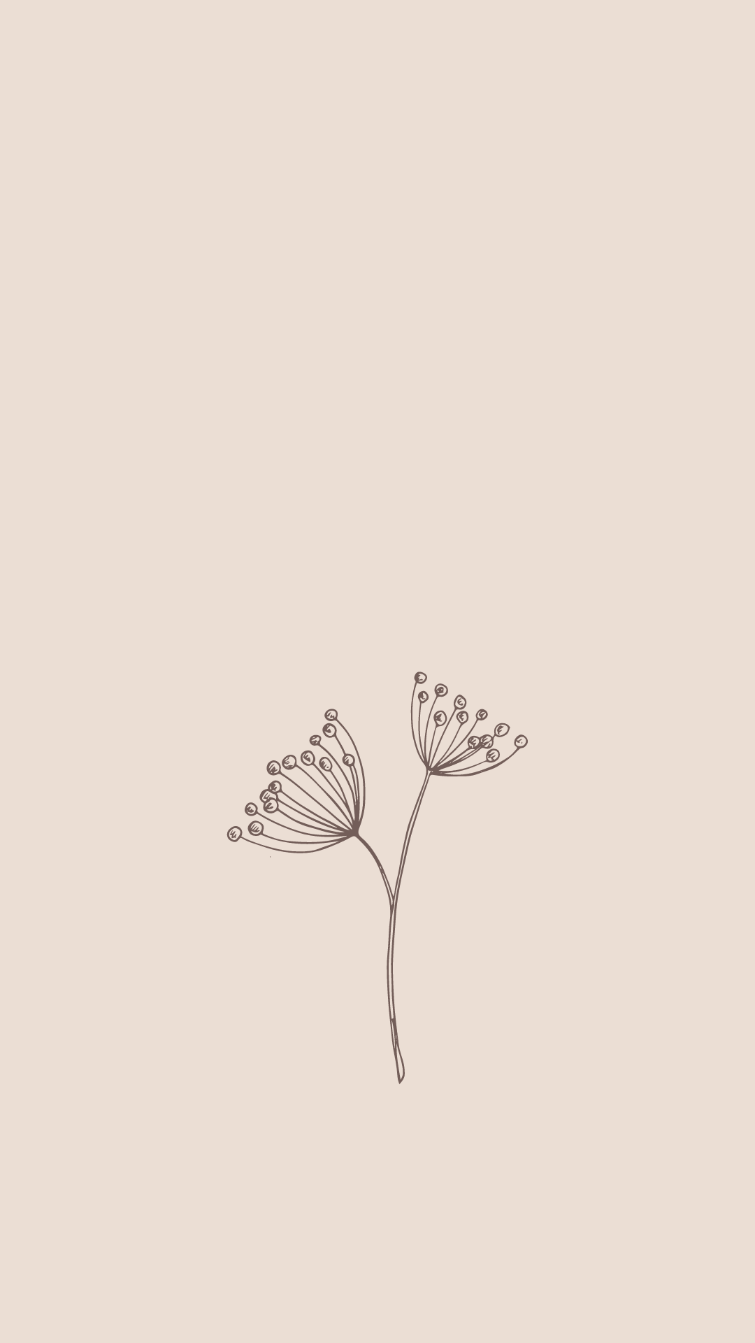 Download Free 100 + minimalist spring Wallpapers