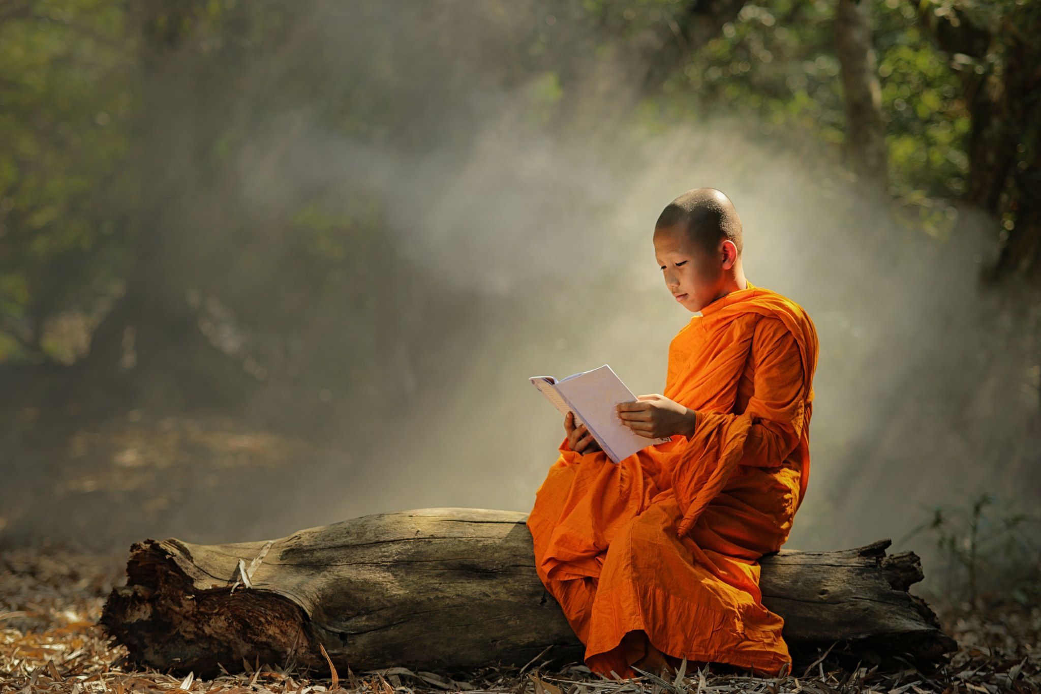 Download Monk, Meditation, Silhouette. Royalty-Free Stock Illustration  Image - Pixabay