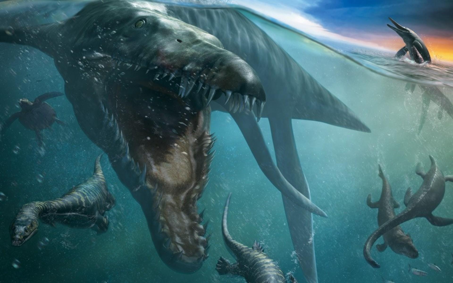 Download Free 100 + mosasaurus Wallpapers