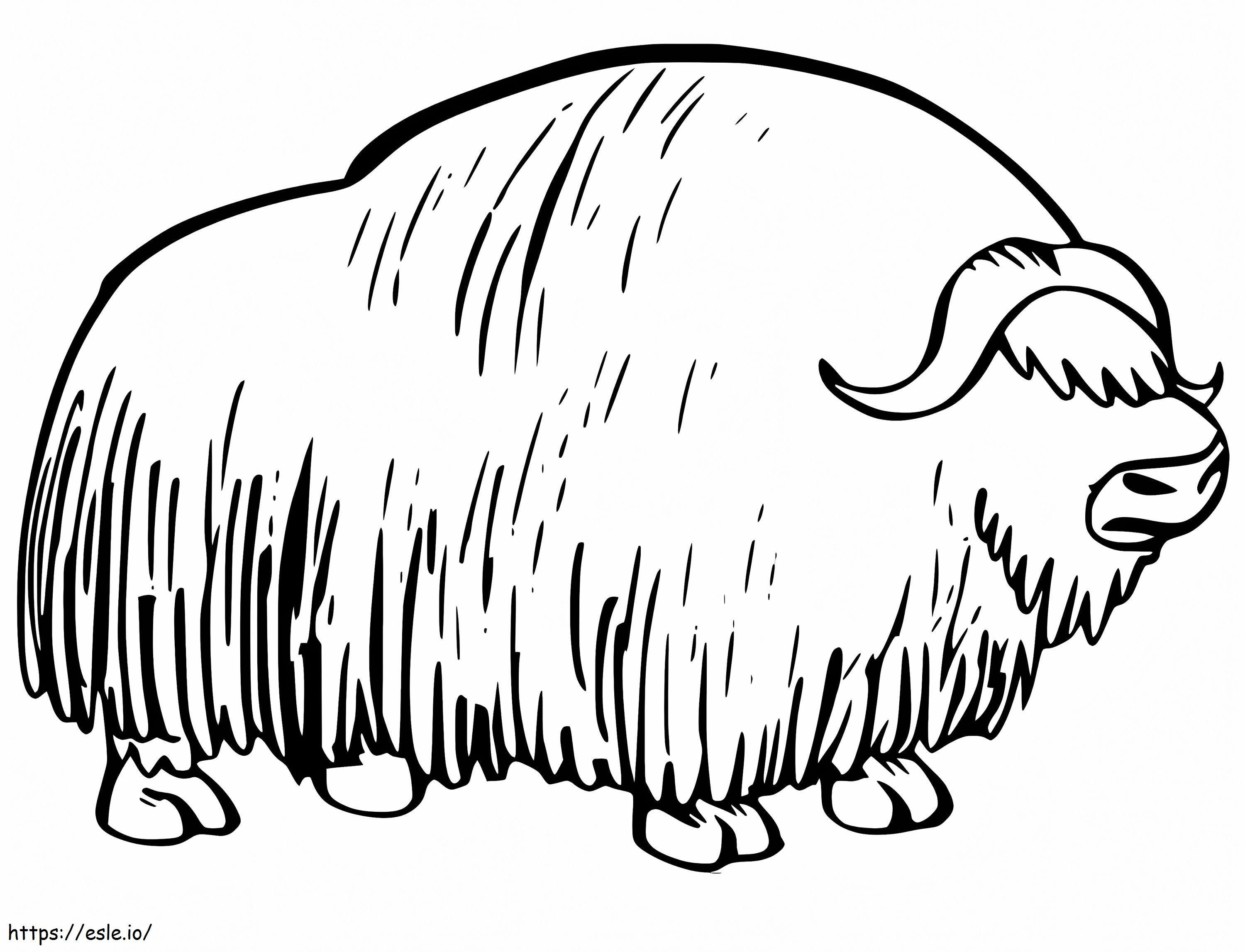 Musk ox printable coloring page